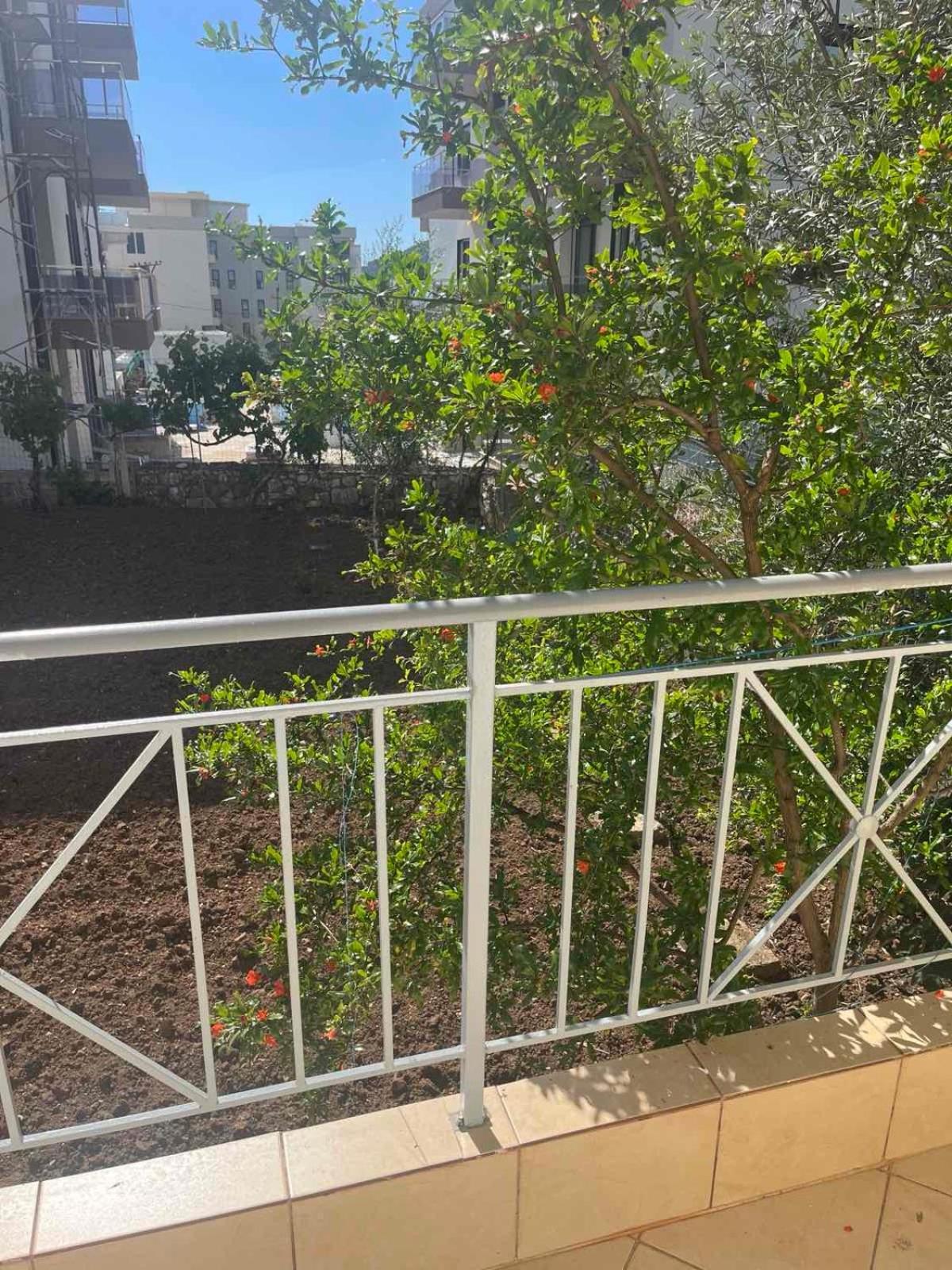 Villa Olivia Grove 希马拉 外观 照片